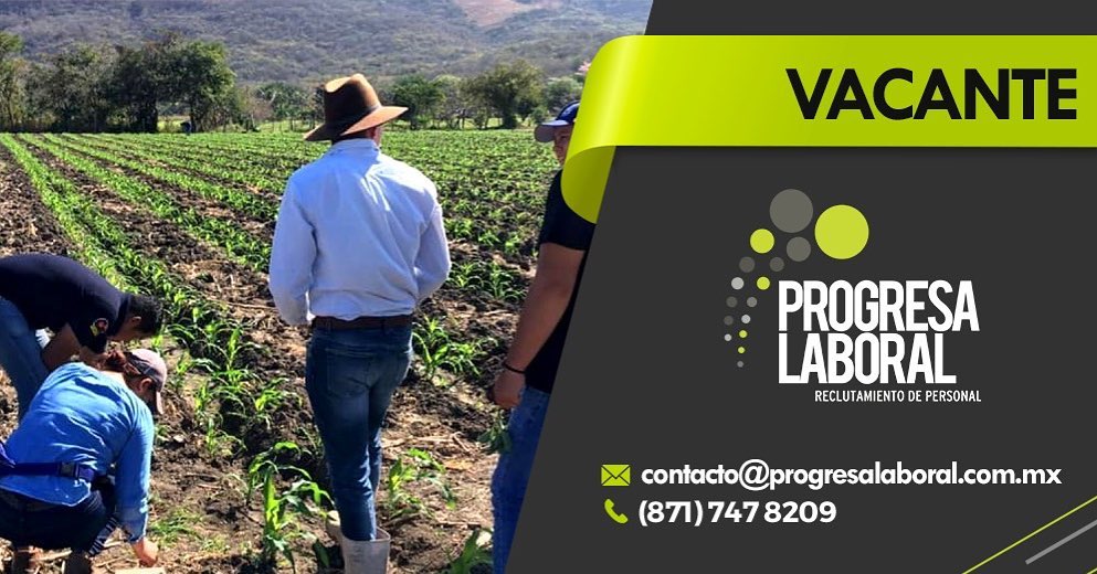 Ingeniero Ventas (Insumos Agropecuarios) 16/01/2023