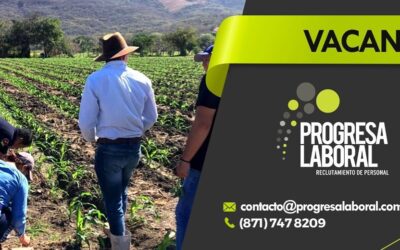 Ingeniero Ventas (Insumos Agropecuarios) 16/01/2023