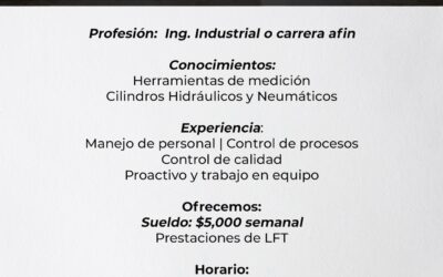 Ingeniero de Procesos (09/01/2024)
